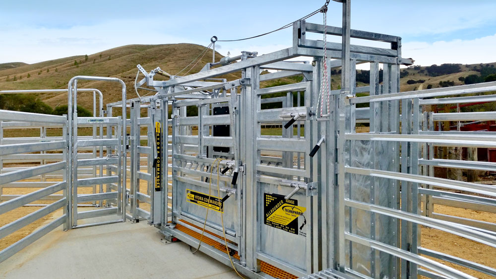 Cattle Handling Equipment