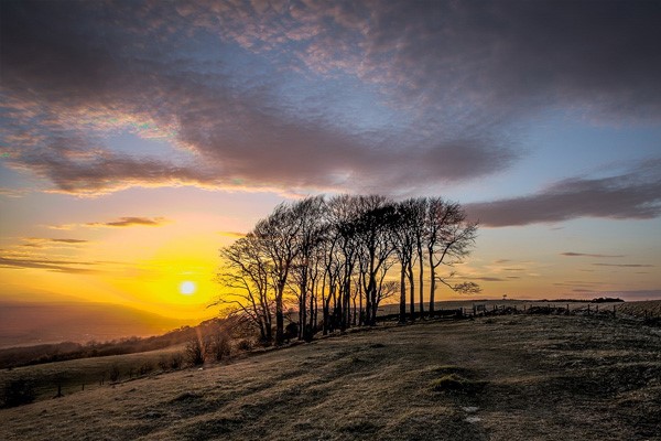 On Farm Special Tools make farming ezy