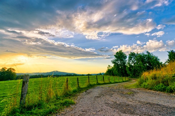 Animal Care: Captive slaughter device